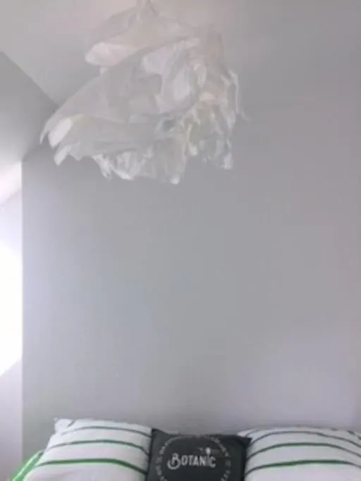 Apartment Joli 2 Pieces A 10 Min A Pied Du Lac Avec Parking Prive Annecy